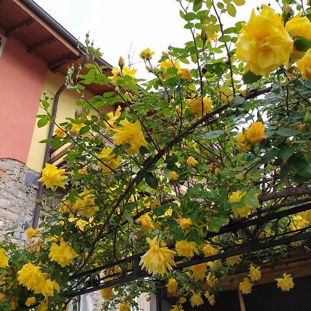 Lakes & Hills Villa Nebbiuno Екстериор снимка