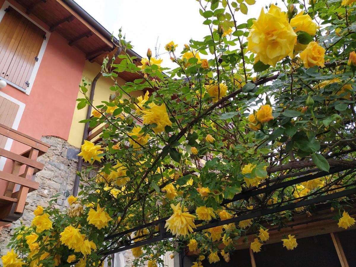 Lakes & Hills Villa Nebbiuno Екстериор снимка